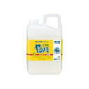 (まとめ) サラヤ ヤシノミ洗剤 ヤシノミ洗剤業務用 1個入 【×2セット】