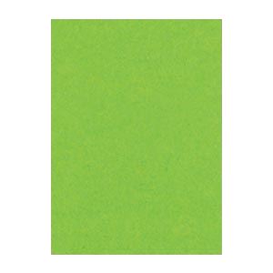 （まとめ） 文運堂 ニューカラーR 四ツ切 横392×縦542mm 4NCR-238 こいきみどり 100枚入 【×2セット】【日時指定不可】