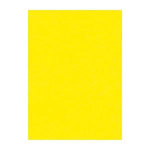 （まとめ） 文運堂 ニューカラーR 全判 横788×縦1091mm 10-319 レモン 10枚入 【×2セット】