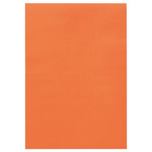 （まとめ） TANOSEE 色画用紙 八つ切 だいだい 1パック（10枚） 【×30セット】