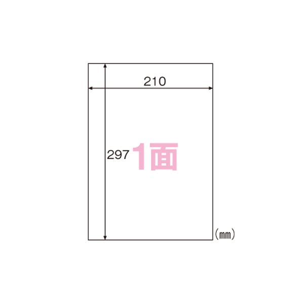 （まとめ） ヒサゴ FSC(R)森林認証紙ラベルA4タックシール A4判 100枚入 FSCGB862 【×2セット】