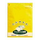 (まとめ) セーフパック SP-P160 1枚入 【×5セット】【日時指定不可】