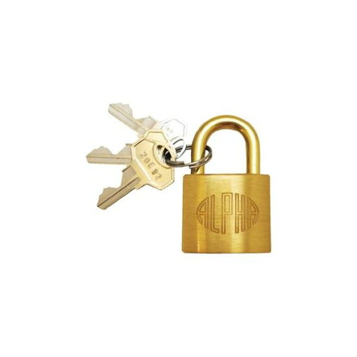 (まとめ)アルファ シリンダー錠 NO.1000-30 袋入 30mm【×3セット】 (まとめ)アルファ シリンダー錠 NO.1000-30 袋入 30mm【×3セット】