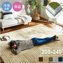 ラグマット/絨毯 【グリーン 約200×240cm】 洗える 防滑加工 保温 蓄熱 断熱 アルミ 無地 ホットカーペット対応 〔リビング〕【代引不可】(3)