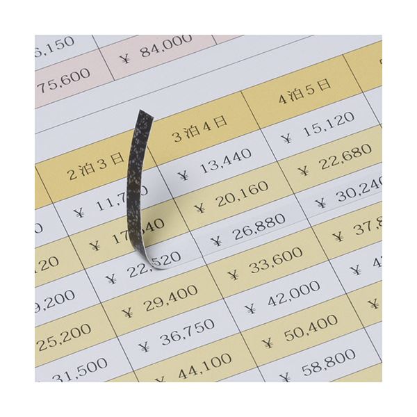 即納最大半額 まとめ エーワン ラベルシール プリンター兼用 下地がかくせて透かしても読めない修正タイプ マット紙 ホワイト 110面 90 5mm 四辺余白付 1冊 12シート 10セット 日時指定 楽天ランキング1位 Arkadegeszsegkozpont Hu