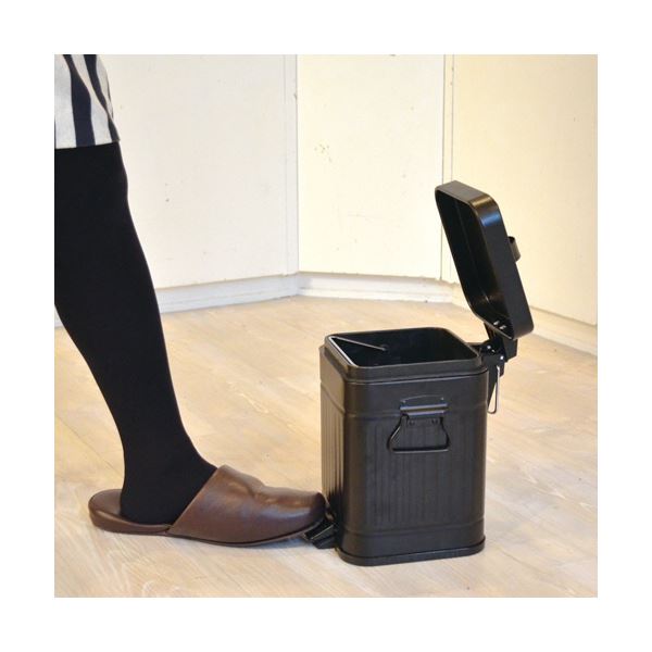 (まとめ) アントレックス b.c.l Galva スクエアダストボックス 3L マットホワイト 1個 【×3セット】 [3]