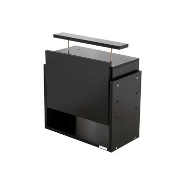 コレクションケース/収納棚 レギュラー 専用上置き 【ロータイプ 奥行29cm用 ブラック】 幅54.1cm 本体別売 【組立品】【代引不可】【日時指定不可】