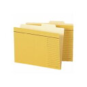 (まとめ) ライオン事務器 個別フォルダー B6判 B6-IF-R 1冊 【×30セット】【日時指定不可】
