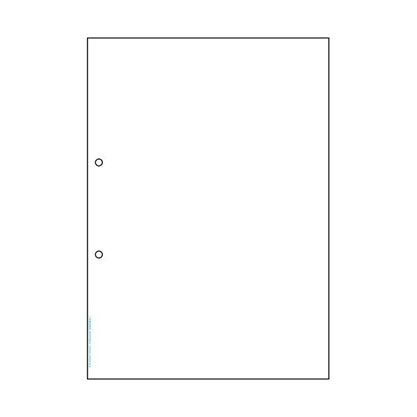 (まとめ) ヒサゴ マルチプリンタ帳票 抗菌タイプ A4 白紙 2穴 BPK2001 1冊(50枚) 【×5セット】