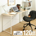 シンプルデスク ブラン/blanc 幅120cmタイプ デスク シンプル PCデスク 120cm パソコンデスク 一人暮らし 新生活 平机 勉強机 45cm テレワーク 在宅 オフィス 120 ホワイト ナチュラル IW-17120