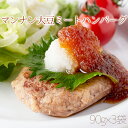 【ゆうパケット出荷】100%植物由来の新感覚ハンバーグ!!マンナン大豆ミートハンバーグ90g×3袋