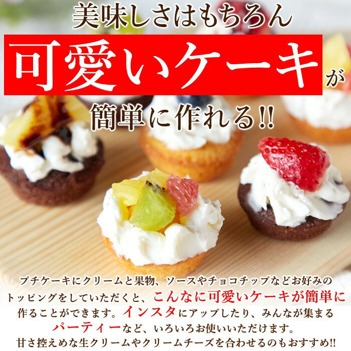 フランス産発酵バター使用しっとりやわらかプチケーキ2種(プレーン味、チョコ味)50個1袋で2種類の味が楽しめるお得なセット一口サイズ手軽に食べられるプチケーキ