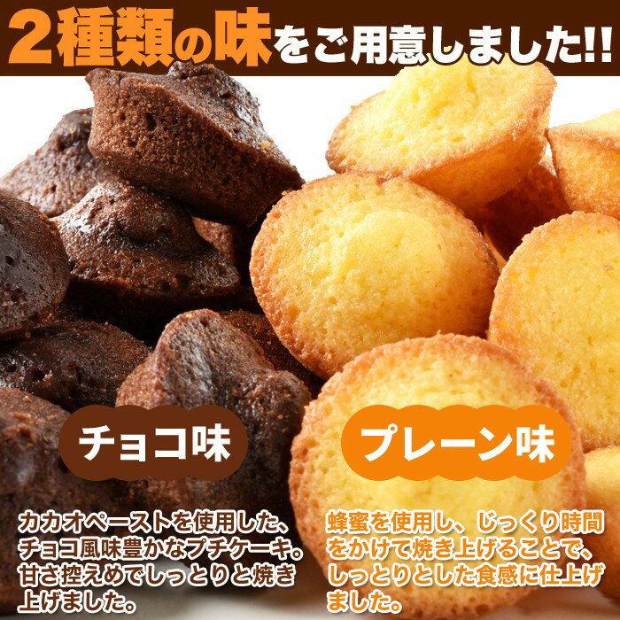フランス産発酵バター使用しっとりやわらかプチケーキ2種(プレーン味、チョコ味)50個1袋で2種類の味が楽しめるお得なセット一口サイズ手軽に食べられるプチケーキ