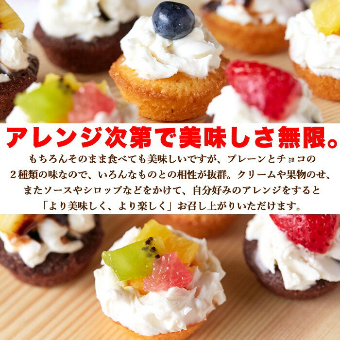 フランス産発酵バター使用しっとりやわらかプチケーキ2種(プレーン味、チョコ味)50個1袋で2種類の味が楽しめるお得なセット一口サイズ手軽に食べられるプチケーキ