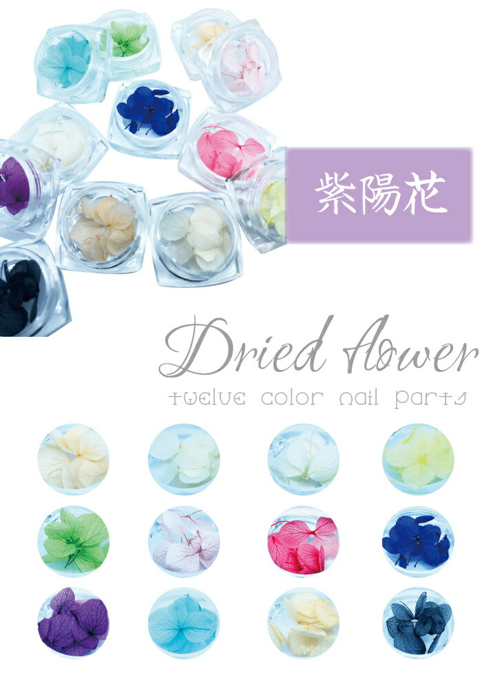 ケースに入ったドライフラワー ドライフラワー 12色セット 紫陽花 花びら 押し花 素材 セット Sale 61 Off あじさい レジン おしばな ネイル ケースに入ったドライフラワー ドライフラワー 12色セット 紫陽花 花びら 押し花 素材 セット Sale 61 Off あじさい レジン おしばな ネイル