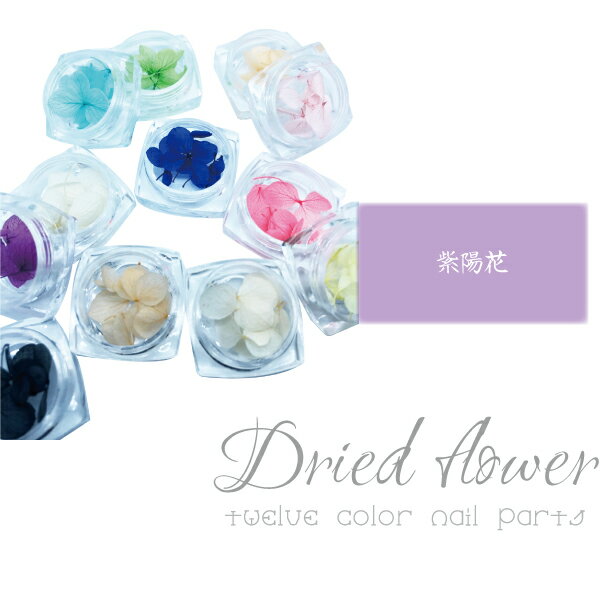 ケースに入ったドライフラワー ドライフラワー 12色セット 紫陽花 花びら 押し花 素材 セット Sale 61 Off あじさい レジン おしばな ネイル ケースに入ったドライフラワー ドライフラワー 12色セット 紫陽花 花びら 押し花 素材 セット Sale 61 Off あじさい レジン おしばな ネイル