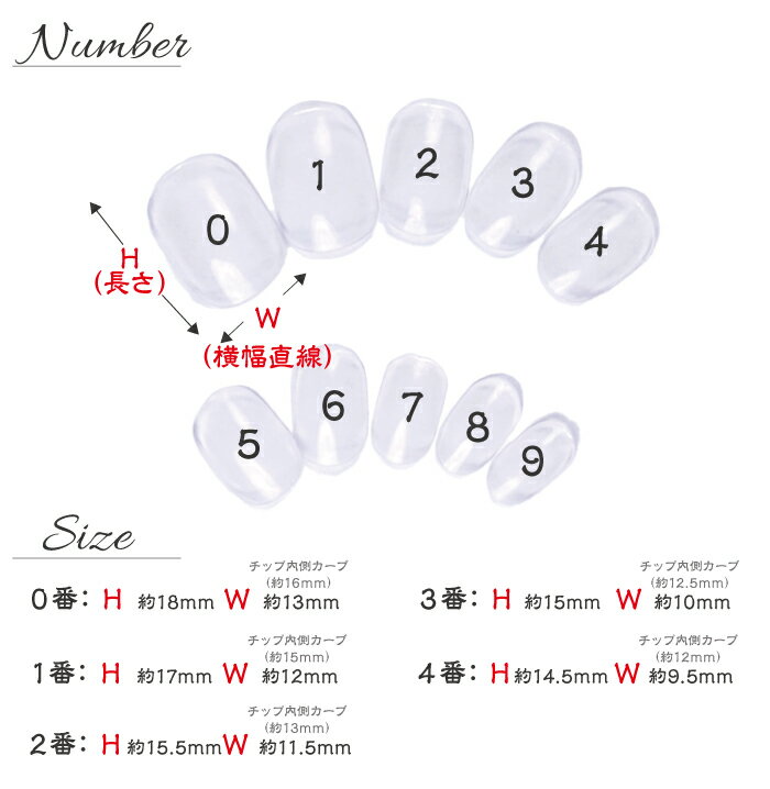 �ͥ�����å� ���ꥢ �� �٥꡼���硼�� 600�祻�å� ��AN39 ���硼�� û�� ���ꥢ�ͥ�����å� ���ꥢ ���ꥢ���å� �ե륫�С� �ץ졼��