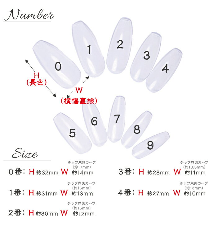 �ͥ�����å� ���ꥢ �� ���󥰥Х�꡼�� 500�祻�å� ��AN71 �Х�꡼�� ���硼�ȥХ�꡼�� ���ꥢ�ͥ�����å� ���ꥢ ���ꥢ���å� �ե륫�С� �ץ졼��