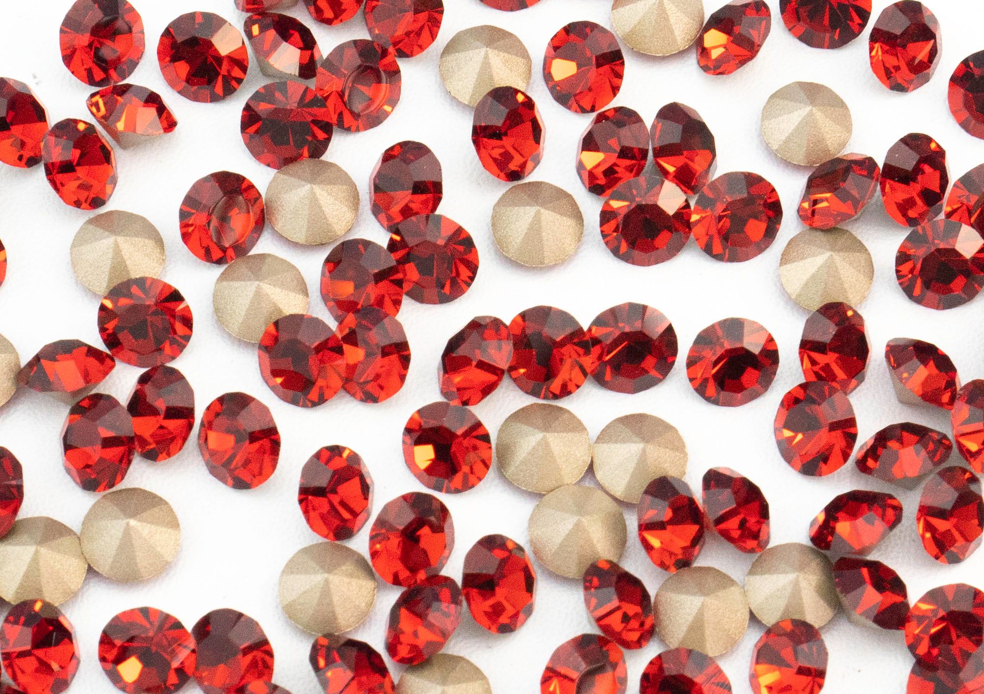 プレシオサ　チャトンMAXIMA　レッドベルベット pp24 (50粒)