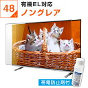 【10%OFFクーポン★7月11日2時迄】【帯電防止剤付き】 有機ELテレビ保護パネル 50インチ 50型 48インチ 48型 49インチ 49型 オーダーメイド ノングレア 非光沢 反射防止 テレビガード テレビカバー テレビ 保護パネル 画面 保護フィルム 赤ちゃん 子供 国産 アクリル