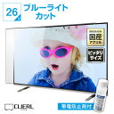 【10%OFFクーポン★7月11日2時迄】【帯電防止剤付き】 液晶テレビ保護パネル 24インチ 26インチ 24型 26型 オーダーメイド ブルーライトカット 透明度93% テレビガード テレビカバー テレビ 保護パネル 画面 保護フィルム ガード カバー 国産 アクリル