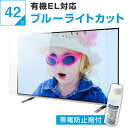 【10%OFFクーポン★7月11日2時迄】【帯電防止剤付き】 有機ELテレビ保護パネル 42インチ 43インチ 42型 43型 オーダーメイド ブルーライトカット 透明度93% テレビガード テレビカバー テレビ 保護パネル 画面 ガード カバー 赤ちゃん 子供 国産 アクリル