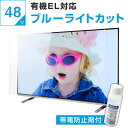 【10%OFFクーポン★7月11日2時迄】【帯電防止剤付き】 有機ELテレビ保護パネル 50インチ 50型 48インチ 48型 49インチ 49型 オーダーメイド ブルーライトカット 透明度93% テレビガード テレビカバー テレビ 保護パネル 画面 保護フィルム 赤ちゃん 子供 国産 アクリル