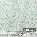 生地 布 入園入学 北欧風ラミネート生地/幅105cm≪ サマースカイ ≫【10cm単位販売】【男の子】【女の子】【動物】【葉】【北欧】【モダン】【ホワイト】【黄緑】フランスデザイナー生地 鳥 おしゃれ かわいい ビニールコーティング ビニコ