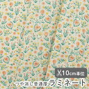 生地 布 入園入学 北欧風ラミネート生地/幅106cm≪ ベジタル ≫フランスデザイナー生地 小花柄 vegetal おしゃれ かわいい ビニールコーティング ビニコ