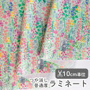 ★8/1 8:59まで★生地 布 入園入学 北欧風 ラミネート生地/幅104cm ≪ ファインディングラビット ≫ 【10cm単位販売】【女の子】【花】【動物】【北欧】【ポップ】【緑】デザイナー生地 キエピノコ kiepinoko 花柄 動物柄 華やか うさぎ かわいい ビニコ