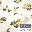 生地 布 入園入学 北欧風コットン/幅108cm≪ Mimosa ≫【10cm単位販売】【花】【葉】【黄色】【北欧】ミモザ おしゃれ かわいい デコレクションズオリジナル 韓国