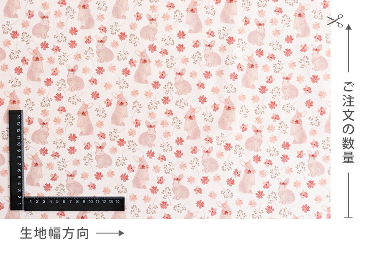 生地 布 入園入学 北欧風 コットン/幅110cm ≪ プティラパン ≫ 【10cm単位販売】【...