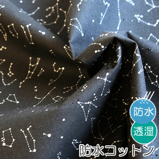 生地 布 入園入学 北欧風防水コットン/幅105cm≪ Constellation ≫【10cm単位販売】【男の子】【女の子】【空】【星】【モダン】【黒】 ラメ 星座 モノトーン キッズ はっ水 おしゃれ かわいい 韓国