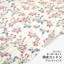 ★5/2まで★生地 布 入園入学 北欧風防水コットン/幅107cm≪ African lily ≫【10cm単位販売】【花】【ナチュラル】【北欧】【アイボリー】アガパンサス アフリカンリリー おしゃれ かわいい デコレクションズオリジナル 韓国