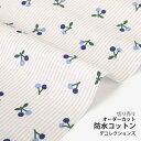 【レシピ付】生地 布 入園入学 北欧風防水コットン/幅107cm≪ Blue cherry ≫【10cm単位販売】【女の子】【果物】【ストライプ】【北欧】【ベージュ】さくらんぼ おしゃれ かわいい デコレクションズオリジナル