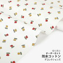 ★4/3まで★生地 布 入園入学 北欧風防水コットン/幅107cm≪ Cute tulips ≫【10cm単位販売】【女の子】【花】【ナチュラル】【北欧】【オフホワイト】植物 チューリップ おしゃれ かわいい デコレクションズオリジナル 韓国