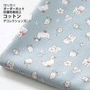 生地 布 入園入学 北欧風コットン/幅110cm≪ Pretty cat - Picnic ≫抗菌・防臭加工【10cm単位販売】【女の子】【動物】【ガーリー】【グレー】ネコ 猫 アヒル 鳥 さんぽ ピクニック おしゃれ かわいい 韓国