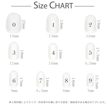 ショートラウンド型 クリアネイルチップ サンディング加工あり 500枚入り(10サイズ・各50枚)