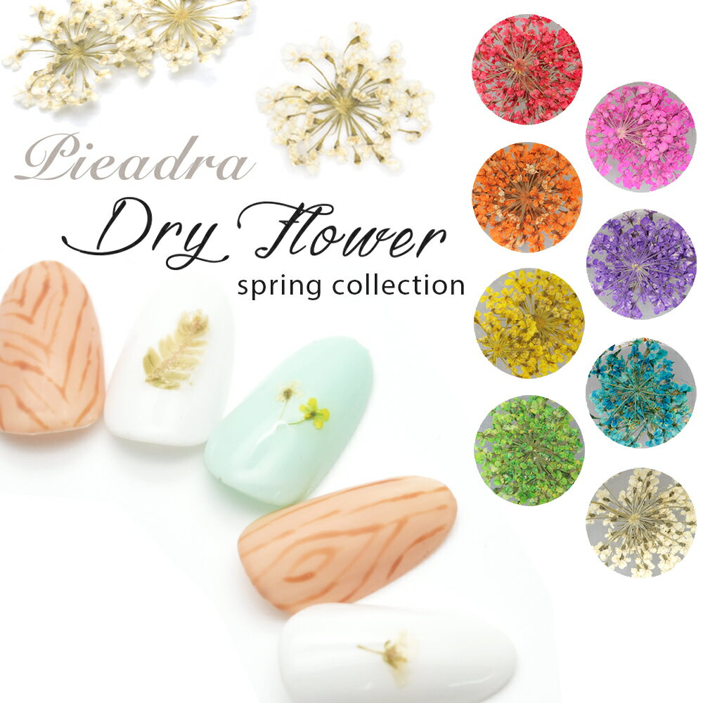 【週末限定10％OFFクーポン！5/18～19】ドライフラワー SHAREYDVA (旧 pieadra) 押し花ネイル 春ネイル 花柄 フラワー レジン ネイルアート セルフネイル ジェルネイル