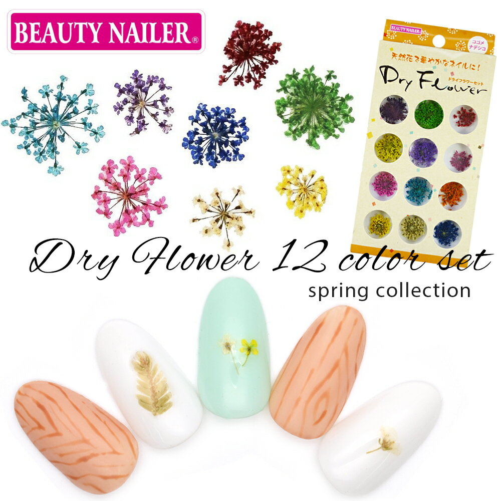 楽天ネイルタウン／NAILTOWNBEAUTY NAILER（ビューティーネイラー） ドライフラワー 12色セット コゴメナデシコ [DRF-3] 押し花ネイル 春ネイル 花柄 フラワー レジン ネイルアート セルフネイル ジェルネイル