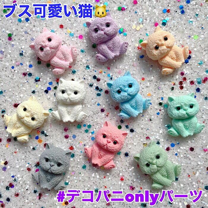 【B601】ブス可愛い猫 ★当店限定★ 