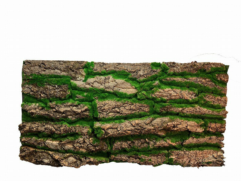 人工苔　【デコプラ】 壁面緑化 造花 ウォールグリーン 壁面 緑化 DIY パネル アート 壁付け 壁掛け 飾..