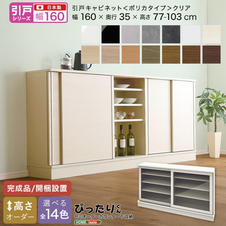 【引戸シリーズ】セミオーダー収納ぴったりくん キャビネット(ポリカタイプ クリア) 幅160cm×奥