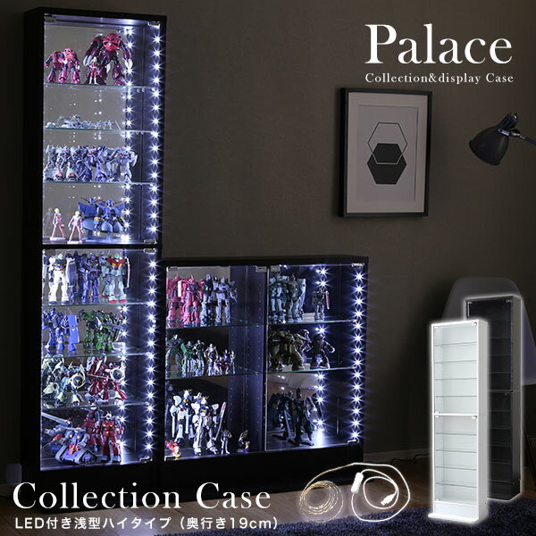 コレクションラック【本体＋LEDライト付き／ハイタイプ・浅型・奥行19cm 幅48.5cm】palace パレス コレクションラッ…