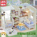 送料無料 ドールハウスキット ミニチュアドールハウス 子猫のいるかわいいお部屋 ねこ ネコ LEDライト付き DIY 手作り 誕生日 プレゼント ギフト