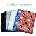 ねこ/シマエナガ/チェック柄 ひざ掛け 70×100cm 秋冬 防寒 膝掛け ヒザ掛け ニューマイヤー かわいい ネコ 猫 鳥