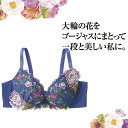 セシール ふっくらデコルテメイクブラ(ソフトワイヤー入り・3/4カップ) ブラジャー 3/4カップブラジャー レディース インナー A70 A75 B70 B75在庫処分セール(4)