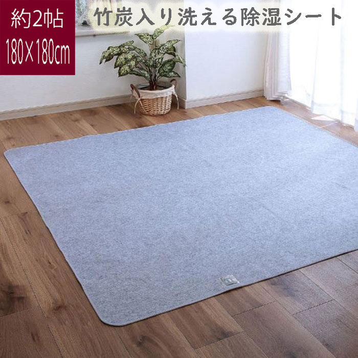 訳あり 竹炭入り洗える除湿シート 2畳ラグ用 180x180cm 吸湿センサー付き キングサイズ