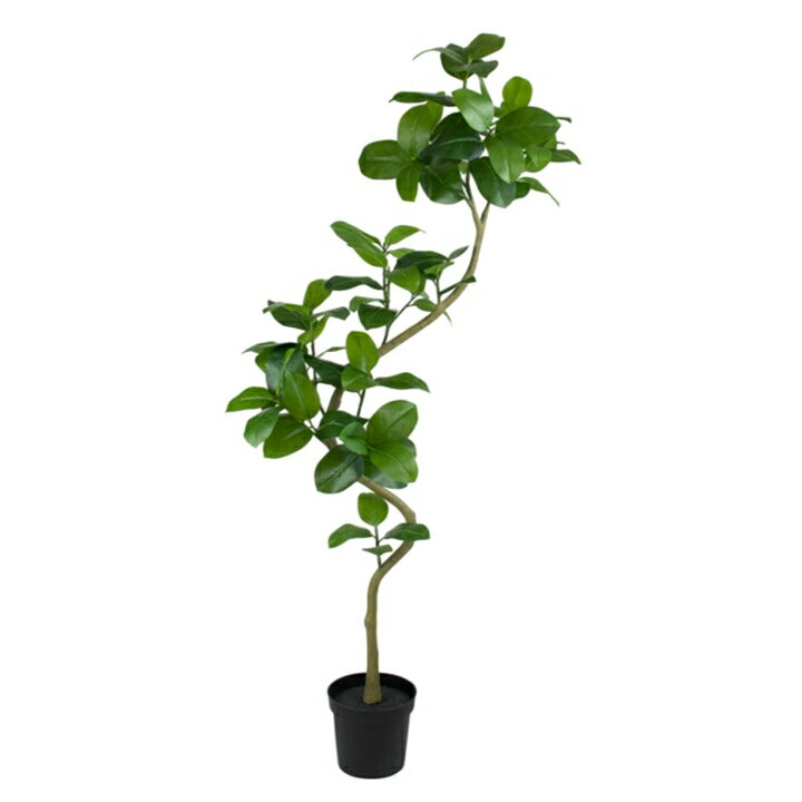 H200cm　花器H20×W23cm　主な素材：ポリエチレン・ポリプロピレン◆再生素材を使用した環境にやさしいエコ商品です◆華やかな空間作りをお手伝いする人工観葉植物です、お部屋やお店のインテリアにもおすすめです♪簡易容器付き！（容器に傷や...