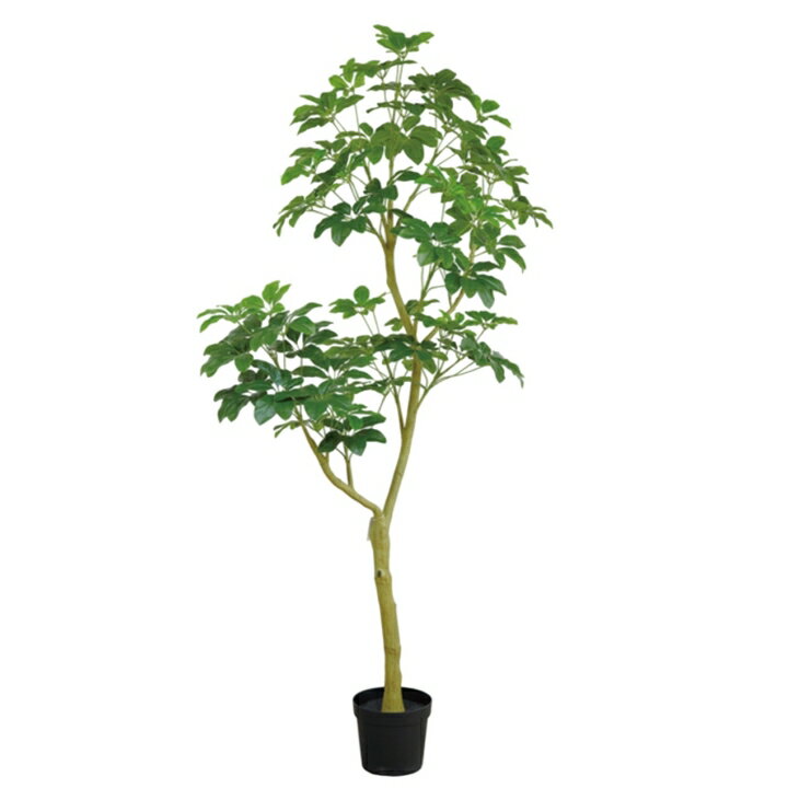 シェフレラポット XL グリーン 組立式 VR26019G フェイクグリーン 人工観葉植物 シェフレラ ツリー エコ 再生素材